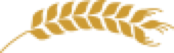 icon_floral
